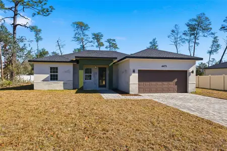 New construction Single-Family house 4473 Sw 168Th Ln, Ocala, FL 34473 - image