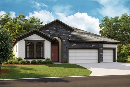 New construction Single-Family house 4636 Cedar Fog Ct Dr, Valrico, FL 33596 - image