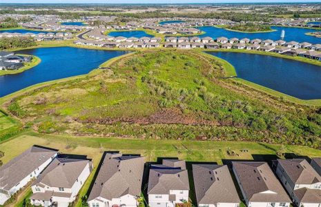 New construction Single-Family house 11022 Moonsail Dr, Parrish, FL 34219 Wakefield- photo 36 36