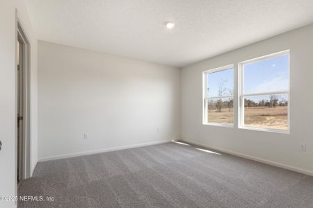 New construction Single-Family house 10412 Greystone Dr, Glen St. Mary, FL 32040 plan Beaumont - image 13