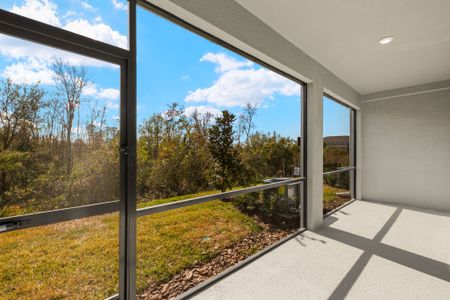 New construction Townhouse house 31490 Woodland Race Lp, Wesley Chapel, FL 33545 Sebring- photo 19 19