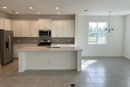 New construction Single-Family house 6821 Serpent Hawk Lane St, Howey-in-the-Hills, FL 34737 plan Hayden - image 5