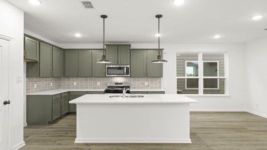 New construction Single-Family house 1118 Falls Rush Wy, Royse City, TX 75189 plan Wright - image 5