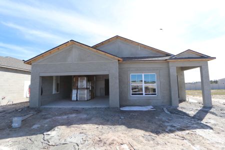 New construction Single-Family house 3142 Adams Cross Dr, Zephyrhills, FL 33540 Picasso- photo 64 64