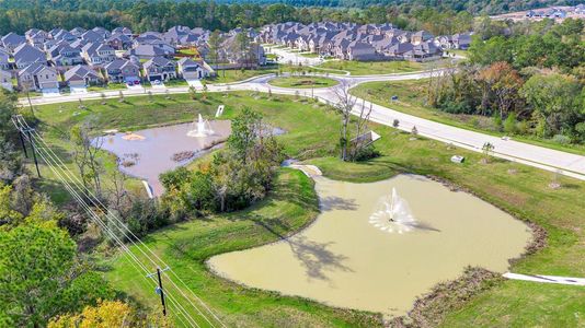 Pine Lake Cove - Traditional Series by Meritage Homes in Conroe - photo 1 1