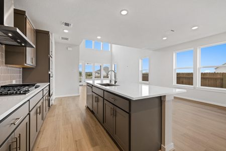 New construction Single-Family house 528 Palatino Bnd, Liberty Hill, TX 78642 plan Travis - image 10