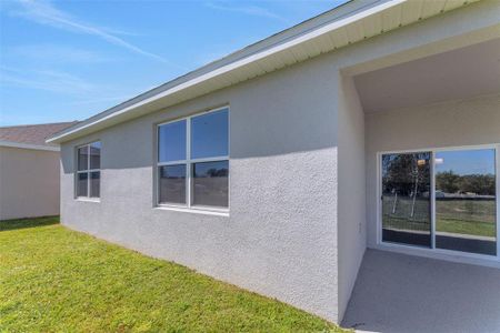 New construction Single-Family house 191 Bottle Brush Dr, Haines City, FL 33844 Mulberry- photo 74 74