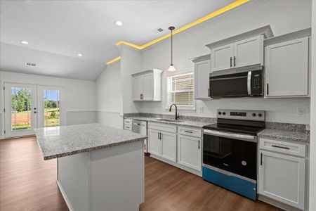 New construction Single-Family house 528 Adventure Isla Wy, Campobello, SC 29322 - image 6