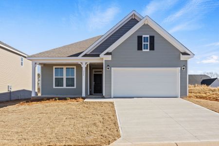 New construction Single-Family house 224 Pretoria Dr, Woodruff, SC 29388 plan Harmony - image