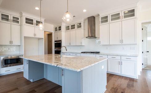 New construction Single-Family house 1041 Sage Pine Cir, Clover, SC 29710 plan Princeton - image 10
