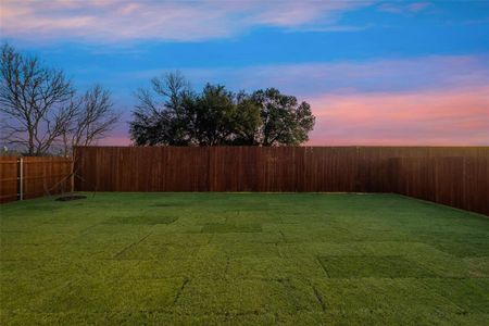 New construction Single-Family house 1264 Colca Dr, Springtown, TX 76082 null- photo 21 21