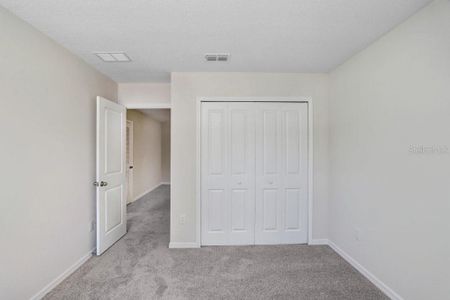 New construction Townhouse house 11718 Blackbrook Ct, Seffner, FL 33584 null- photo 15 15