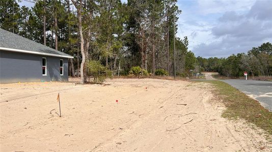 New construction Single-Family house 958 W Cary Dr, Citrus Springs, FL 34434 null- photo 22 22