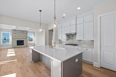 New construction Single-Family house 1041 Sage Pine Cir, Clover, SC 29710 plan Bethpage - image 11