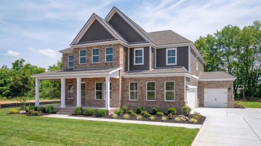 New construction Single-Family house 2932 Biloxi Ct, Murfreesboro, TN 37129 plan Solace II - image