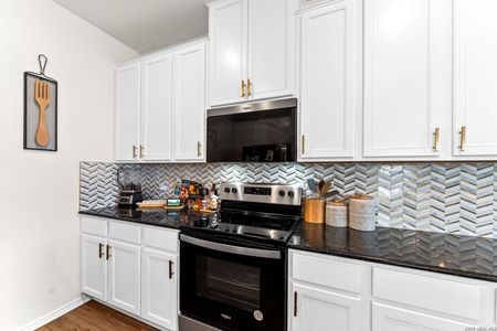 New construction Single-Family house 1029 Santiam St, Georgetown, TX 78626 - image 9