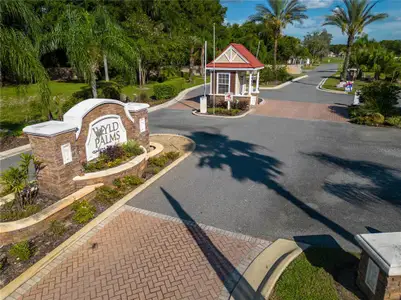 Wyld Palms by Adams Homes in Inverness - photo 1 1
