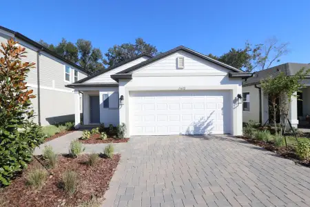 New construction Single-Family house 13692 Brushleaf Ct, Hudson, FL 34669 plan Freeport - image