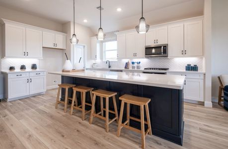 New construction Duplex house 21711 Zebra Swallowtail Dr, Cypress, TX 77433 null- photo 11 11