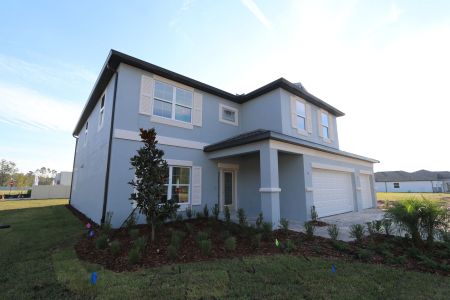 New construction Single-Family house 20288 Oriana Loop, Land O' Lakes, FL 34638 Coronado II- photo 70 70