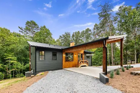 New construction Single-Family house McCaysville, GA 30555 - image
