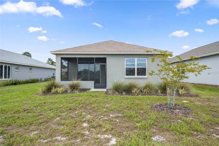 New construction Single-Family house 10277 Sw 96Th Loop, Ocala, FL 34481 - photo 22 22