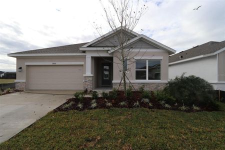 New construction Single-Family house 11815 Richmond Trail, Parrish, FL 34219 The Captiva- photo 0