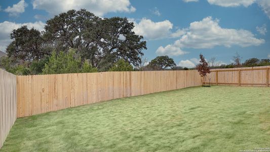 New construction Single-Family house 10211 Sawbuck Crk, San Antonio, TX 78254 4016W- photo 6 6