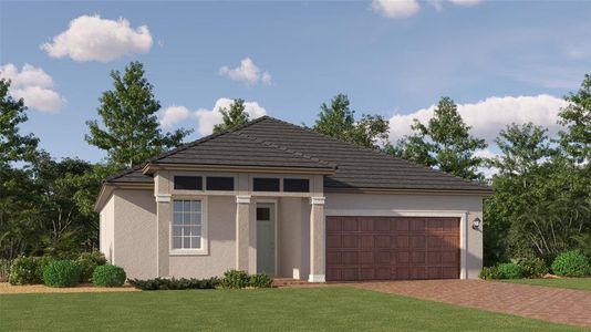 New construction Single-Family house 9727 Minnow Ray Dr, Land O' Lakes, FL 34638 Morningtide II- photo 0