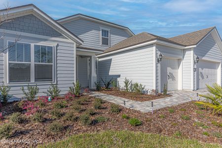 New construction Single-Family house 10683 Town View Dr, Jacksonville, FL 32256 null- photo 2 2