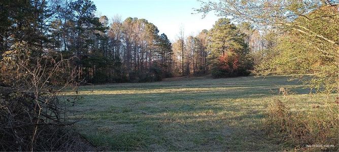 New construction Single-Family house 810 Nix Rd, Milton, GA 30004 - image 6