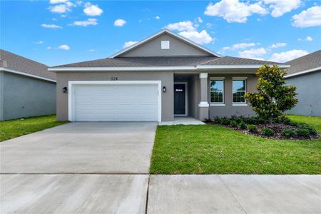 New construction Single-Family house 524 Ellie Court, Apopka, FL 32703 - photo 0