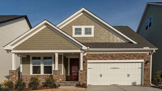 New construction Single-Family house 147 Broad Oak Dr, Unit 147, Mebane, NC 27302 - image