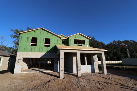 New construction Single-Family house 11984 Hilltop Farms Dr, Dade City, FL 33525 Casanova- photo 13 13