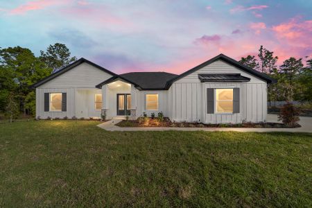 New construction Single-Family house 11651 Sw 43Rd Street Rd, Ocala, FL 34481 - image