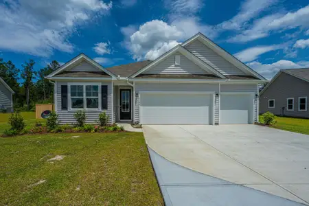 New construction Single-Family house 1146 Wading Point Blvd, Huger, SC 29450 - image