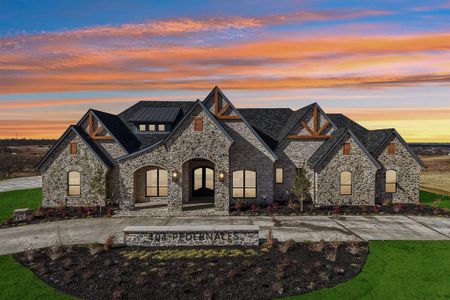 New construction Single-Family house 404 Pedernales Dr, Aledo, TX 76008 - image