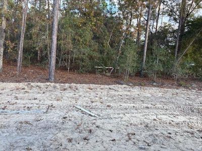 New construction Single-Family house 8669 Sw 138Th Ter, Dunnellon, FL 34432 - image