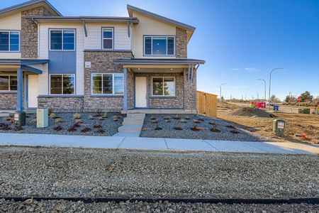 New construction Duplex house 3883 W 83Rd Ln, Westminster, CO 80031 plan Lowell - image