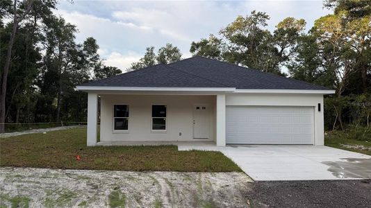 New construction Single-Family house 35022 Batesfield St, Webster, FL 33597 - image