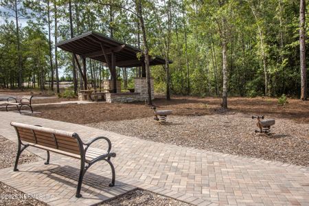 New construction Single-Family house 479 Kingbird Dr, St. Augustine, FL 32092 CHARLE II- photo 42 42