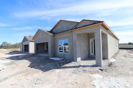 New construction Single-Family house 3142 Adams Cross Dr, Zephyrhills, FL 33540 Picasso- photo 67 67