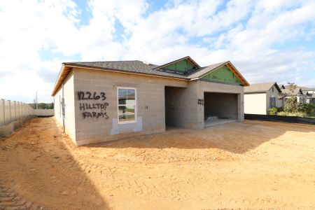 New construction Single-Family house 12263 Hilltop Farms Dr, Dade City, FL 33525 Sentinel- photo 43 43