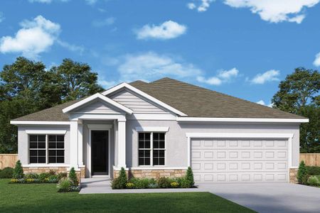 Isles at BayView by David Weekley Homes in Parrish - photo 20 20