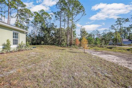 New construction Single-Family house 2825 Cypress Road, Deland, FL 32724 Anna Maria- photo 20 20