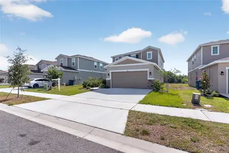 New construction Single-Family house 821 Blue Creek Dr, Haines City, FL 33844 plan Palm - image