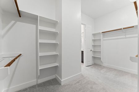 New construction Single-Family house 306 Eastern Towhee Ct, Magnolia, TX 77354 plan Leon - image 11