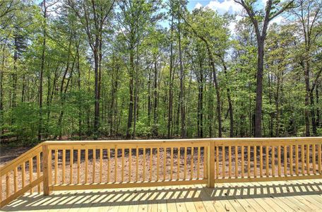 New construction Single-Family house 7463 Yukon Rd, Talking Rock, GA 30175 - image