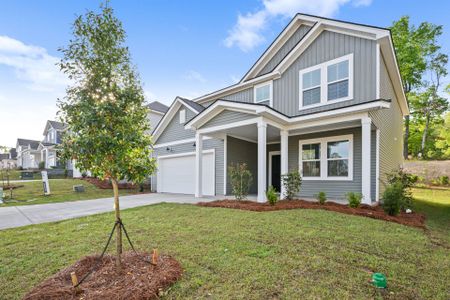 New construction Single-Family house 557 Carters Grove Ln, Blythewood, SC 29016 plan Rosella - image