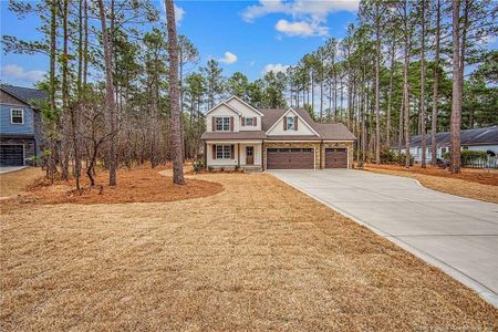 New construction Single-Family house 28941 Pinedale Ct, Wagram, NC 28396 - image